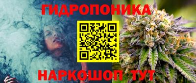 сатива Жуковский