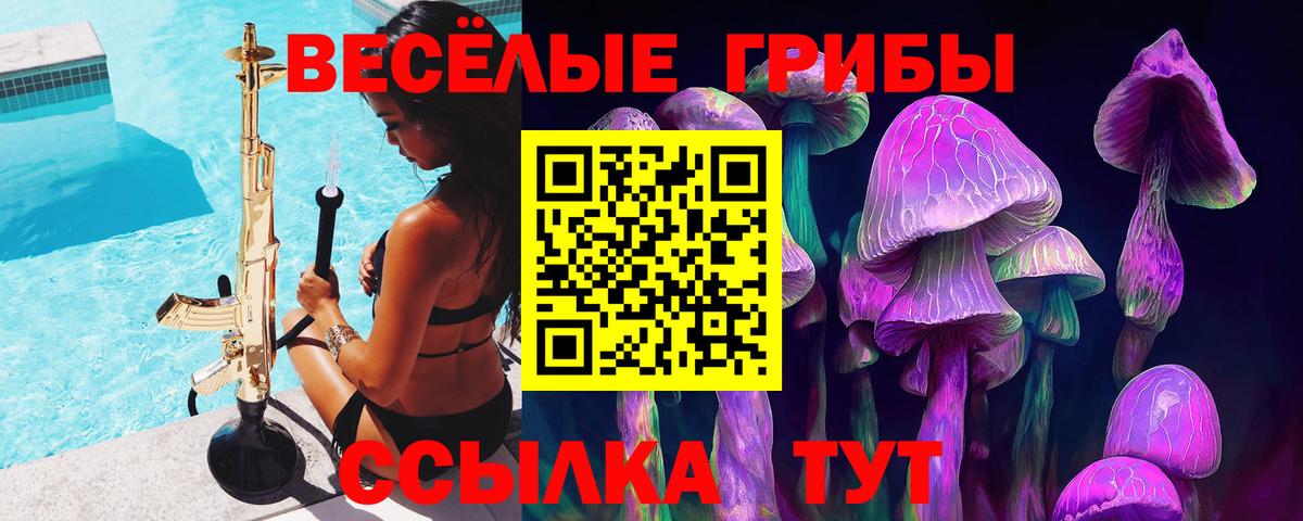 Псилоцибиновые грибы Magic Shrooms  купить наркотик  Псилоцибиновые грибы прущие грибы  Михайловск  Вход с VPN 